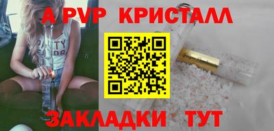 крисы Кунгур
