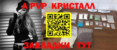 крисы Кунгур