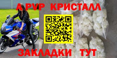 крисы Кунгур