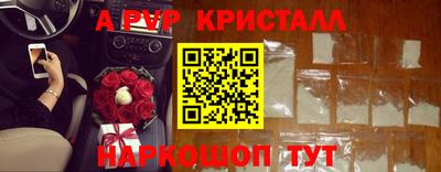 крисы Кунгур