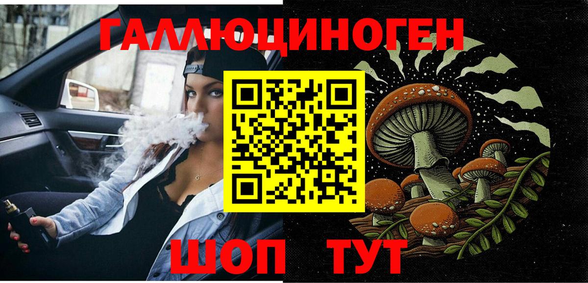 Кольчугино  хочу   Вход с VPN  Псилоцибиновые грибы Psilocybe  Псилоцибиновые грибы Psilocybe 