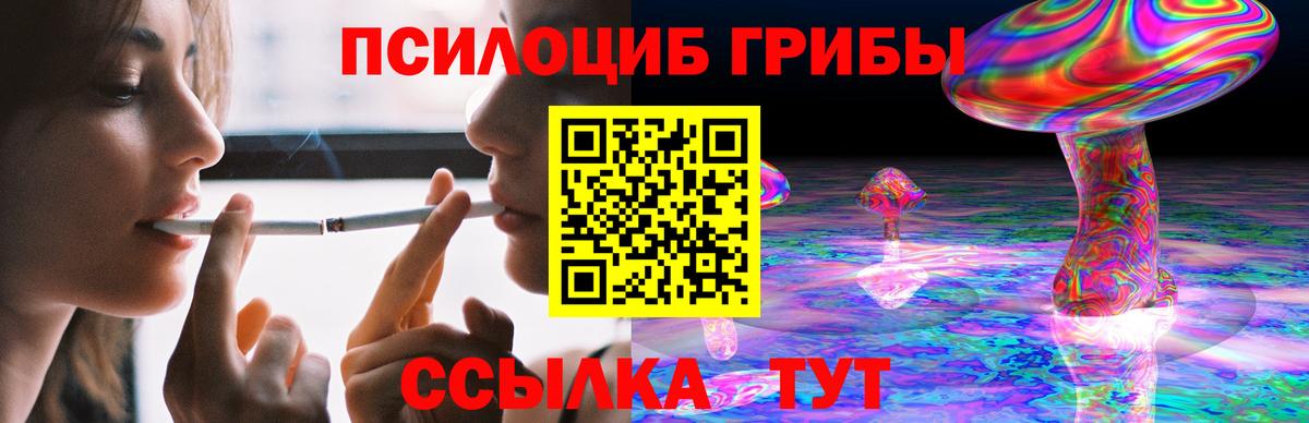 Псилоцибиновые грибы Psilocybe Кольчугино